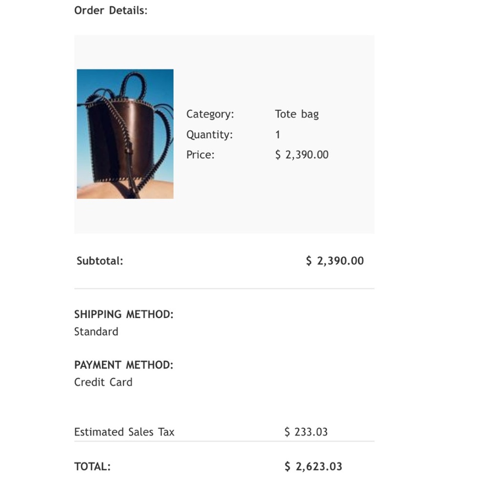 EUC Chloe Louella Bucket Bag in Ebony Brown Large Size - Picture 13 of 13